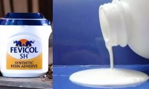 फेविकॉल निर्माता Pidilite ने 13 अगस्त को डिविडेंड रिकॉर्ड डेट तय की