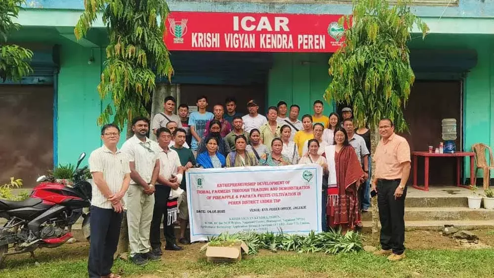 Nagaland : पेरेन के किसानों को फल उद्यमिता पर प्रशिक्षित किया गया Nagaland : पेरेन के किसानों को फल उद्यमिता पर प्रशिक्षित किया गया