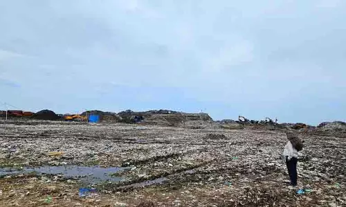 Dadumajra dump पर नगर निकाय और अन्य को ग्रीन पैनल का नोटिस Dadumajra dump पर नगर निकाय और अन्य को ग्रीन पैनल का नोटिस