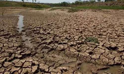 Godavari जिलों के कुछ इलाकों में सूखे की स्थिति Godavari जिलों के कुछ इलाकों में सूखे की स्थिति