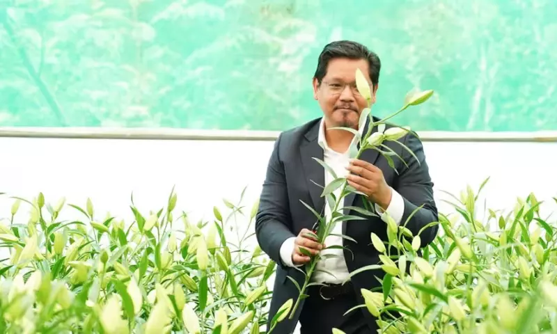 Meghalaya सरकार ने पुष्पकृषि विकास के लिए बंगाल की कंपनियों से मिलाया हाथ Meghalaya सरकार ने पुष्पकृषि विकास के लिए बंगाल की कंपनियों से मिलाया हाथ