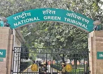 एनजीटी ने अवैध चिल्का घाट को ध्वस्त करने का आदेश दिया एनजीटी ने अवैध चिल्का घाट को ध्वस्त करने का आदेश दिया