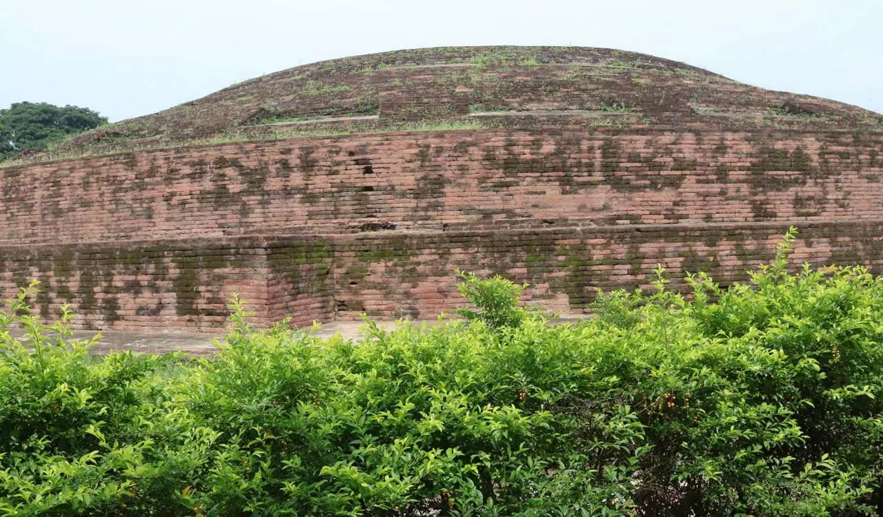 नेलाकोंडापल्ली बौद्ध स्तूप को बनेगा विश्व स्तरीय पर्यटन स्थल नेलाकोंडापल्ली बौद्ध स्तूप को बनेगा विश्व स्तरीय पर्यटन स्थल