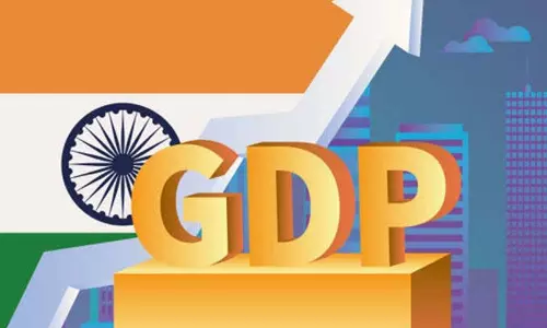 Trump के 25% टैरिफ से 2026 में भारत की जीडीपी वृद्धि 0.4% प्रभावित हो सकती है: अर्थशास्त्री