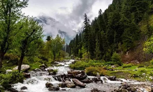 प्लास्टिक और एटीवी निशान प्राचीन डक्सुम में प्लास्टिक और एटीवी निशान प्राचीन डक्सुम में