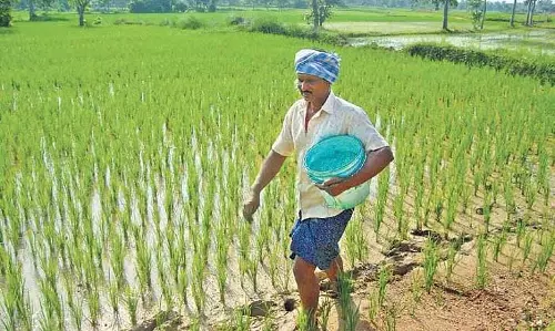 Bargarh में आठ उर्वरक खुदरा दुकानों पर कार्रवाई