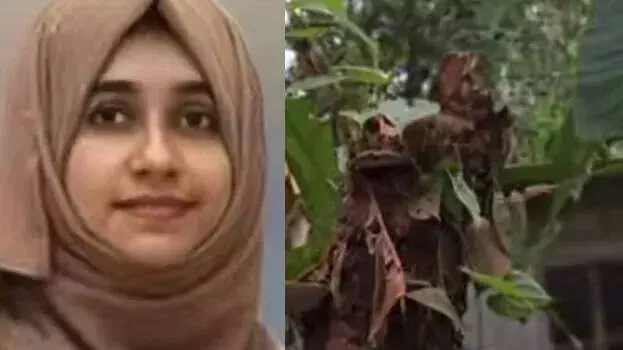 Kerala: बच्चे को दूध पिलाते समय नारियल का पेड़ गिरने से महिला की मौत