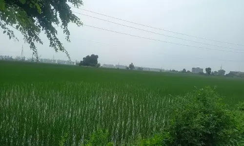 Haryana : पोर्टल पर खरीफ फसलों के पंजीकरण की अंतिम तिथि बढ़ाई गई Haryana : पोर्टल पर खरीफ फसलों के पंजीकरण की अंतिम तिथि बढ़ाई गई