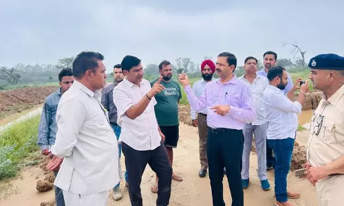 Haryana : सरस्वती वन्यजीव अभयारण्य में जंगल सफारी और मगरमच्छ पार्क की योजना Haryana : सरस्वती वन्यजीव अभयारण्य में जंगल सफारी और मगरमच्छ पार्क की योजना