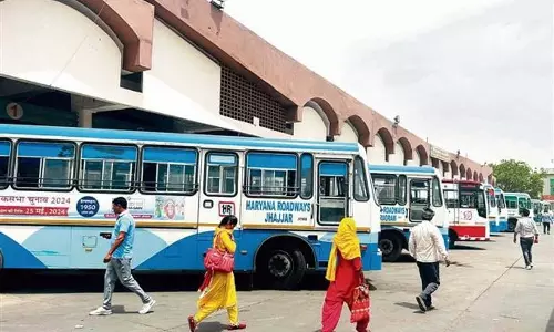 रक्षाबंधन पर Haryana  रोडवेज की बसों में महिलाओं के लिए मुफ्त यात्रा