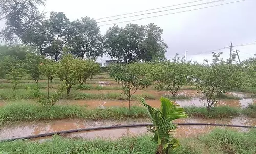 भारी बारिश: कई जगहों पर अशांति