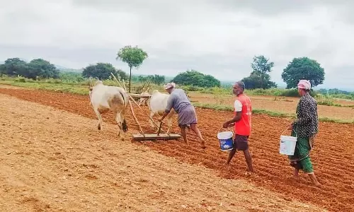 नागमंगला में भारी बारिश: दुम्मासंद्रा बांध ओवरफ्लो हो गया