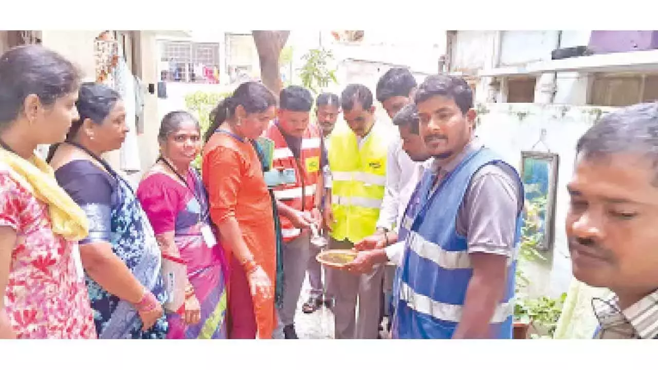 GHMC ने मच्छरों के खतरे से निपटने के लिए लार्वा-रोधी अभियान तेज कर दिए हैं