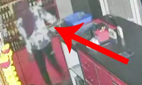 पिता की मौत का बदला...अजीबोगरीब चोरी का पता चला