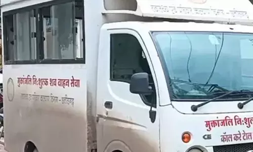 बुजुर्ग महिला पर टूट पड़े मधुमक्खियों का झुंड, मौत बुजुर्ग महिला पर टूट पड़े मधुमक्खियों का झुंड, मौत