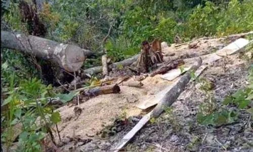Jammu: हाईकोर्ट ने वन भूमि से बेदखली की स्थिति मांगी