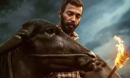 राज बी शेट्टी भैंसों के बीच कागड़ा पकड़े हुए.. करावली की झलक रोंगटे खड़े कर रही