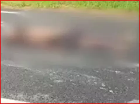 पागल व्यक्ति बीच सड़क में चल रहा था, आमने-सामने हुई दो ट्रेलर, बड़ा हादसा पागल व्यक्ति बीच सड़क में चल रहा था, आमने-सामने हुई दो ट्रेलर, बड़ा हादसा