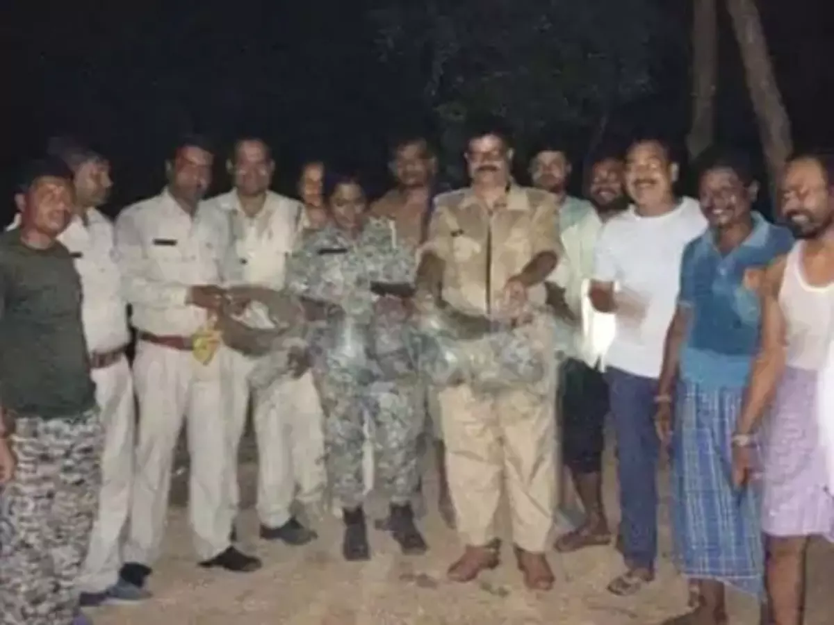 रायगढ़ में जंगली सुअर को मारने 5km तक करंट लगाया रायगढ़ में जंगली सुअर को मारने 5km तक करंट लगाया
