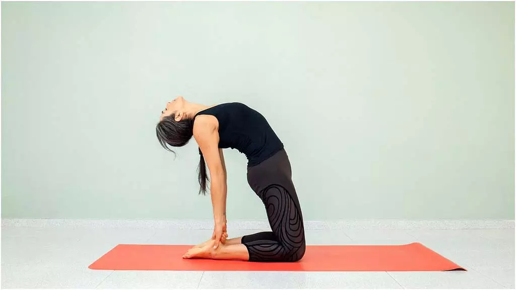 Yoga Tips: थायराइड को कंट्रोल करने के लिए ये 5 योगासन आपके लिए हैं वरदान Yoga Tips: थायराइड को कंट्रोल करने के लिए ये 5 योगासन आपके लिए हैं वरदान