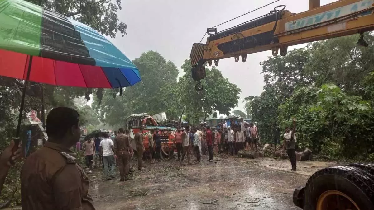 भारी बारिश के कारण रोडवेज बस पर गिरा पेड़, चालक समेत 4 की मौत भारी बारिश के कारण रोडवेज बस पर गिरा पेड़, चालक समेत 4 की मौत