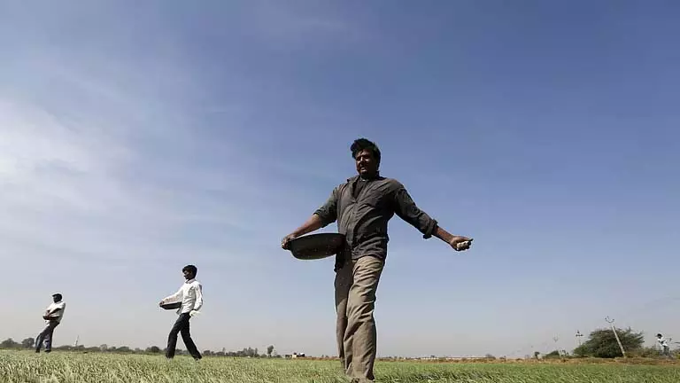 Odisha: धान पंजीकरण मानदंडों को लेकर किसानों का आंदोलन तेज Odisha: धान पंजीकरण मानदंडों को लेकर किसानों का आंदोलन तेज