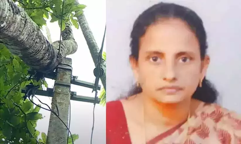 खेत में गिरे बिजली के तार की चपेट में आने से युवती की दर्दनाक मौत खेत में गिरे बिजली के तार की चपेट में आने से युवती की दर्दनाक मौत