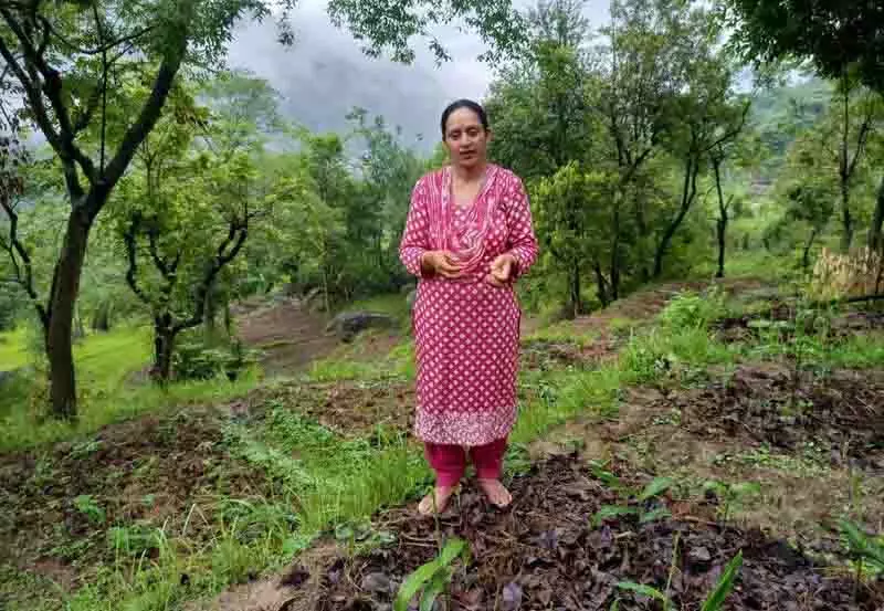 बंजर से उपजाऊ, Himachal सरकार की सिंचाई पहल ने मंडी गांव को बदला बंजर से उपजाऊ, Himachal सरकार की सिंचाई पहल ने मंडी गांव को बदला