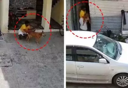 टिंगरेनगर में कुत्ते पर अत्याचार से आक्रोश; गैर-अभियोजन मामला दर्ज टिंगरेनगर में कुत्ते पर अत्याचार से आक्रोश; गैर-अभियोजन मामला दर्ज