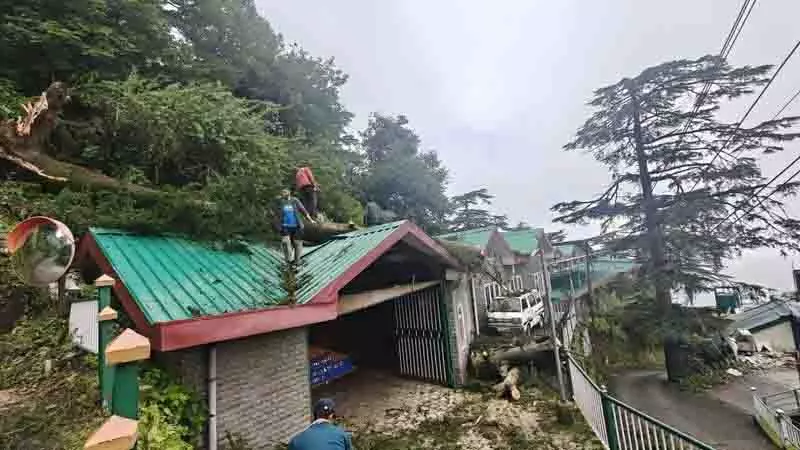 13 अगस्त तक जारी रहेगी भारी बारिश, Himachal के कई जिलों के लिए ऑरेंज अलर्ट जारी 13 अगस्त तक जारी रहेगी भारी बारिश, Himachal के कई जिलों के लिए ऑरेंज अलर्ट जारी