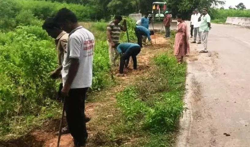 Karepalli मंडल में वन महोत्सव की व्यवस्था Karepalli मंडल में वन महोत्सव की व्यवस्था
