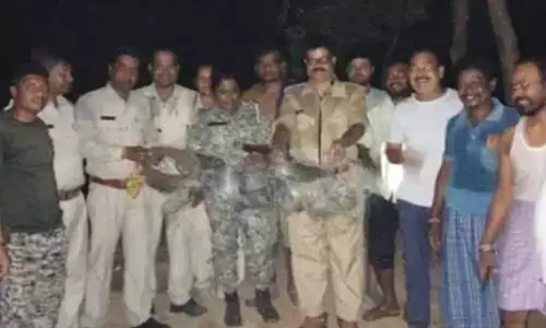 रायगढ़ में जंगली सुअर को मारने 5km तक करंट लगाया