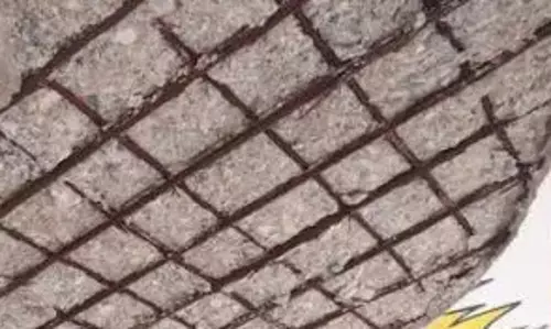 मुंगेली के स्कूल में बड़ा हादसा, छत का प्लास्टर गिरने से छात्रा घायल मुंगेली के स्कूल में बड़ा हादसा, छत का प्लास्टर गिरने से छात्रा घायल