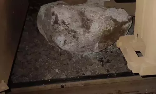 रायगढ़ के पास ट्रैक पर पत्थर गिरने से रेल सेवा प्रभावित, बड़ा हादसा टला