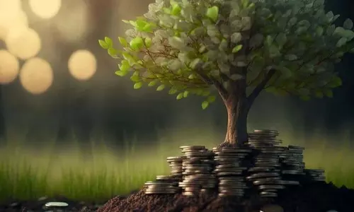 फ्लेक्सी फंड: निवेशक के बदलते लक्ष्यों और जीवन के चरणों के अनुसार