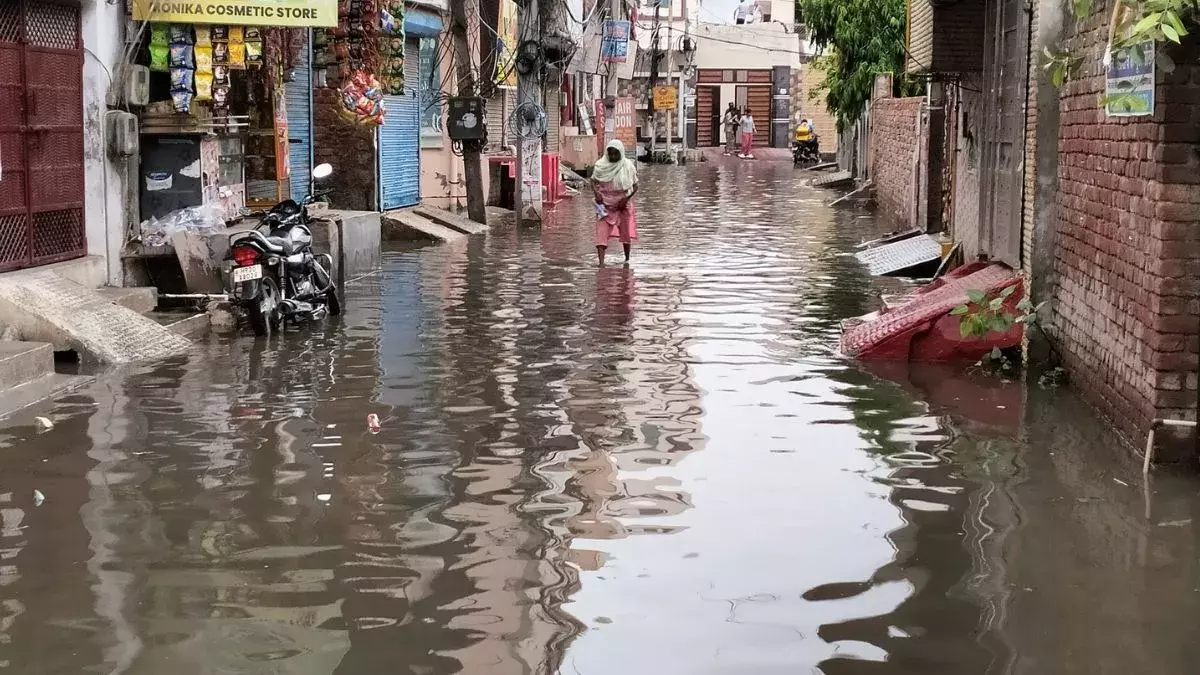 Pratapgarh: सपनों की स्मार्ट सिटी, पानी-पानी हुई सड़कें Pratapgarh: सपनों की स्मार्ट सिटी, पानी-पानी हुई सड़कें