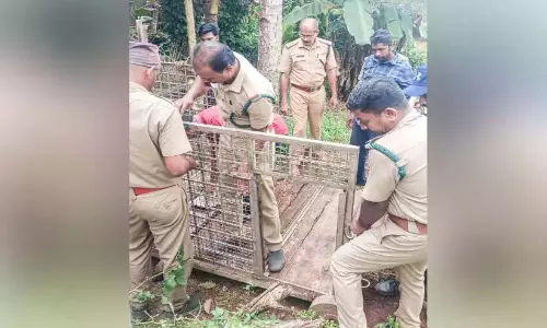 Kerala : पकंदम में फिर बाघ, पिंजरा लगाया गया Kerala : पकंदम में फिर बाघ, पिंजरा लगाया गया