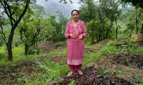 बंजर से उपजाऊ, Himachal सरकार की सिंचाई पहल ने मंडी गांव को बदला