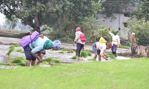 पीएम फसल बीमा योजना, 31 अगस्त तक बीमा करा सकते हैं किसान