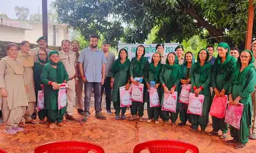 Amboya के हरित योद्धा, 10 महिलाएं, 25 साल और एक जंगल का पुनर्जन्म Amboya के हरित योद्धा, 10 महिलाएं, 25 साल और एक जंगल का पुनर्जन्म