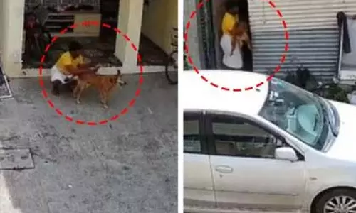 टिंगरेनगर में कुत्ते पर अत्याचार से आक्रोश; गैर-अभियोजन मामला दर्ज टिंगरेनगर में कुत्ते पर अत्याचार से आक्रोश; गैर-अभियोजन मामला दर्ज