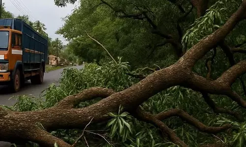 ट्रक की टक्कर के बाद Mapusa में आम के पेड़ की गिरी शाखा से सड़क अवरुद्ध ट्रक की टक्कर के बाद Mapusa में आम के पेड़ की गिरी शाखा से सड़क अवरुद्ध