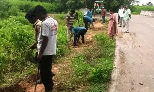 Karepalli मंडल में वन महोत्सव की व्यवस्था
