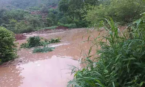 कृत्रिम झील से पानी घटा, Nalagarh के ग्रामीणों ने राहत की सांस ली