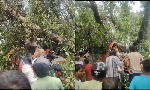 बाराबंकी में भारी बारिश के दौरान बस पर पेड़ गिरने से 5 की मौत बाराबंकी में भारी बारिश के दौरान बस पर पेड़ गिरने से 5 की मौत