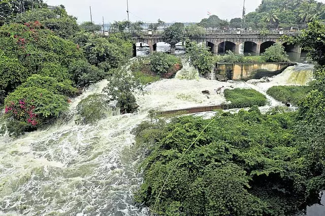 सिंगूर बांध का जल भंडारण 20 TMCFT तक सीमित रहेगा सिंगूर बांध का जल भंडारण 20 TMCFT तक सीमित रहेगा