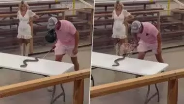 सांप के साथ खतरनाक स्टंट करता शख्स, देखें वायरल VIDEO सांप के साथ खतरनाक स्टंट करता शख्स, देखें वायरल VIDEO