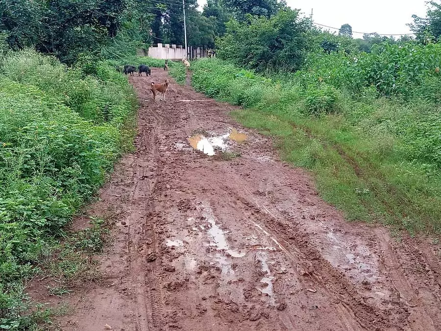 गंदी सड़क पर यात्रा उत्पीड़न: छात्रों ने छात्रावास तक सड़क निर्माण की मांग की गंदी सड़क पर यात्रा उत्पीड़न: छात्रों ने छात्रावास तक सड़क निर्माण की मांग की