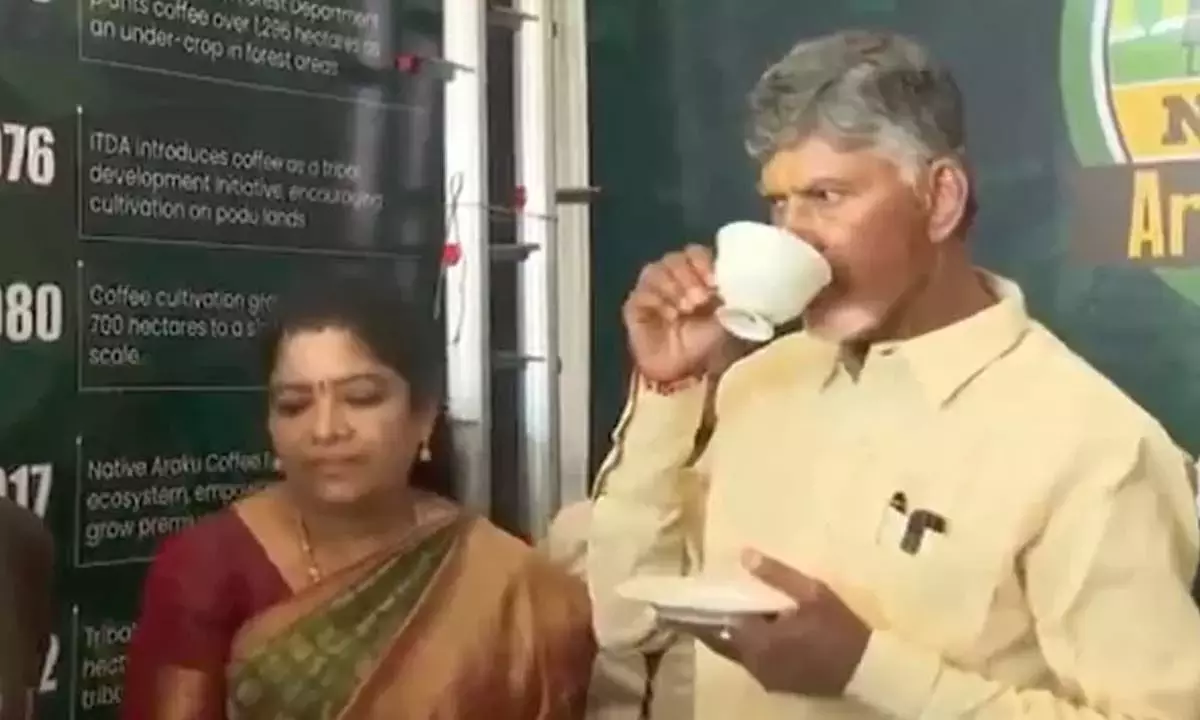 CM ने अल्लूरी सीतारामाराजू जिले का दौरा किया, कॉफी उत्पादकों से बातचीत की CM ने अल्लूरी सीतारामाराजू जिले का दौरा किया, कॉफी उत्पादकों से बातचीत की