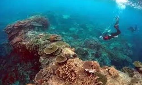Science: बढ़ते समुद्री तापमान के कारण ऑस्ट्रेलिया की ग्रेट बैरियर रीफ नष्ट हो रही है Science: बढ़ते समुद्री तापमान के कारण ऑस्ट्रेलिया की ग्रेट बैरियर रीफ नष्ट हो रही है